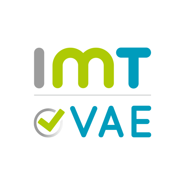 Groupe IMT - logo VAE