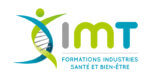 Groupe IMT Logo