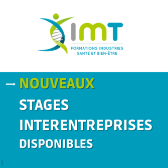 Copie de GROUPE imt