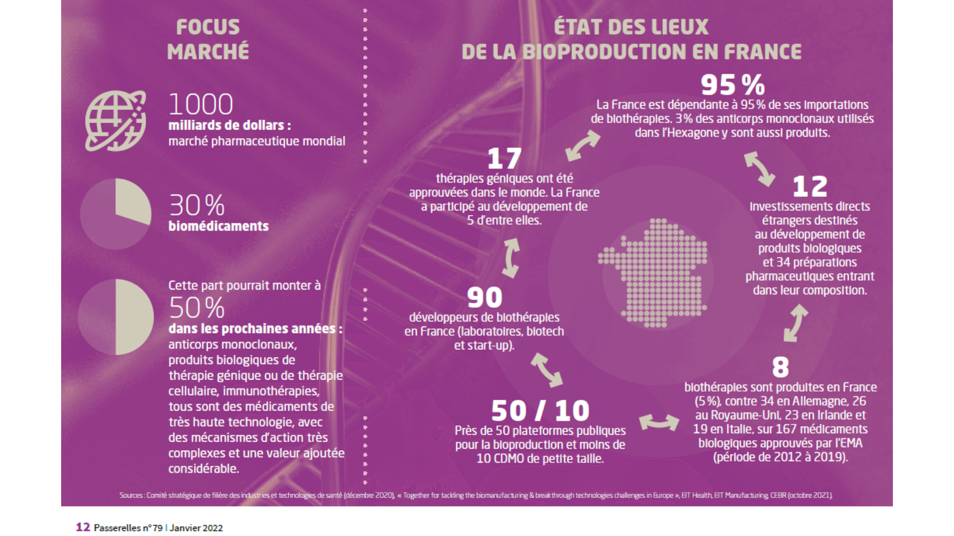 Sans titre 25