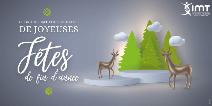 Joyeuses fetes 1