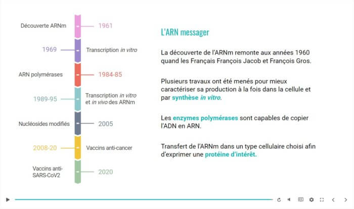 Arn Tls Module Module 8 e-learning : Les vaccins à ARN messager - Groupe IMT
