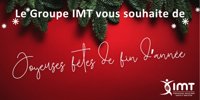 Joyeuses fetes de fin dannee 800 x 400 px